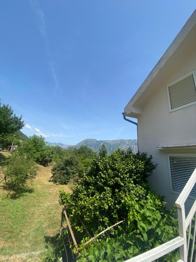 Apartments Djuricic Kotor Exterior photo